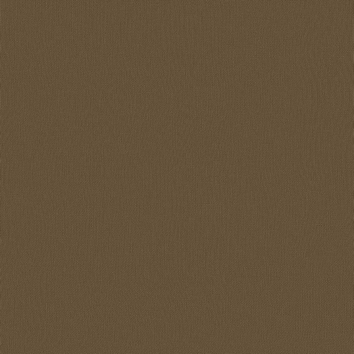 Papyrus 17361-006