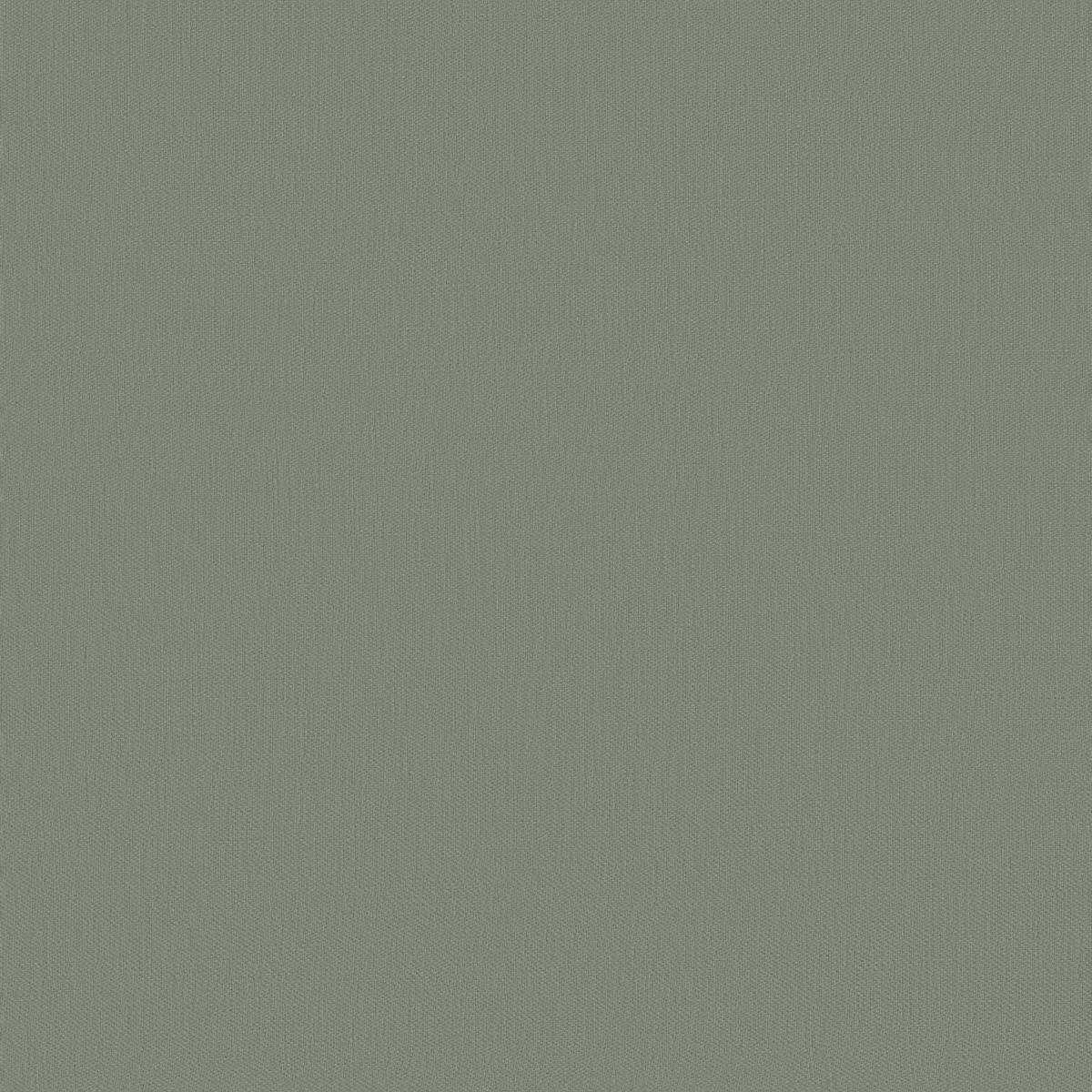 Papyrus 17361-017
