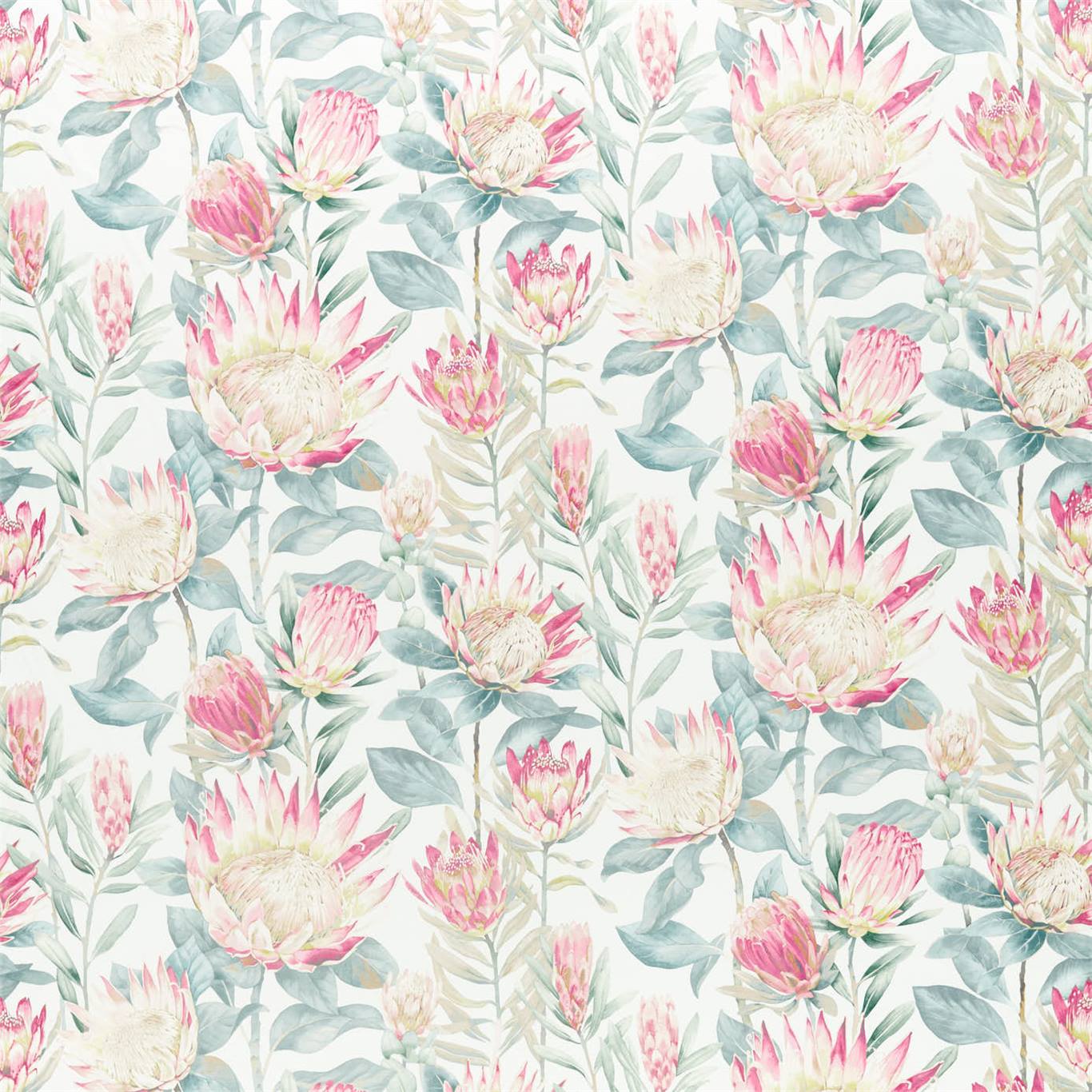 King Protea 226574