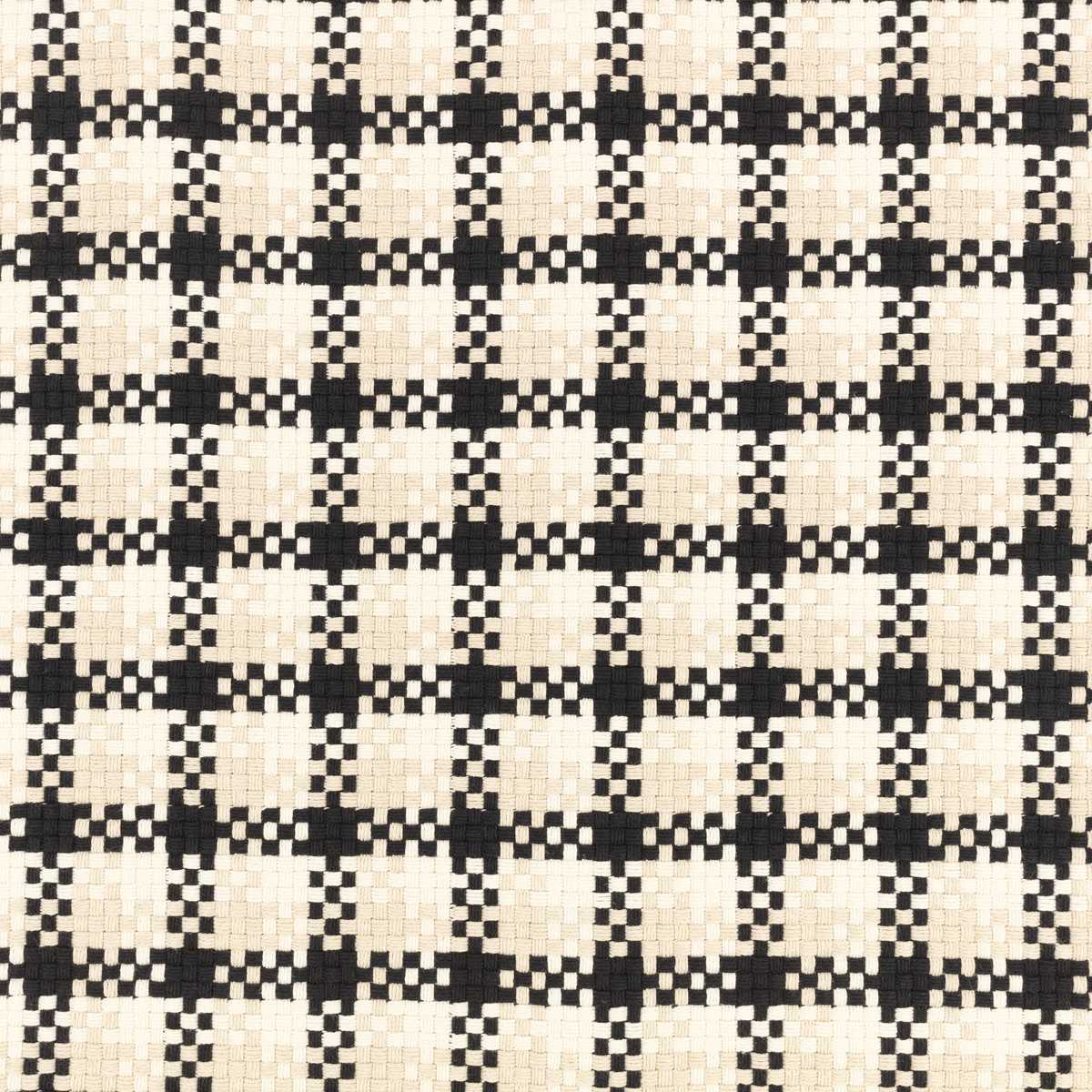 Adapt Monochrome