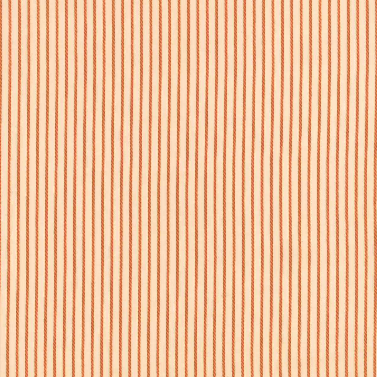 Align Tangerine