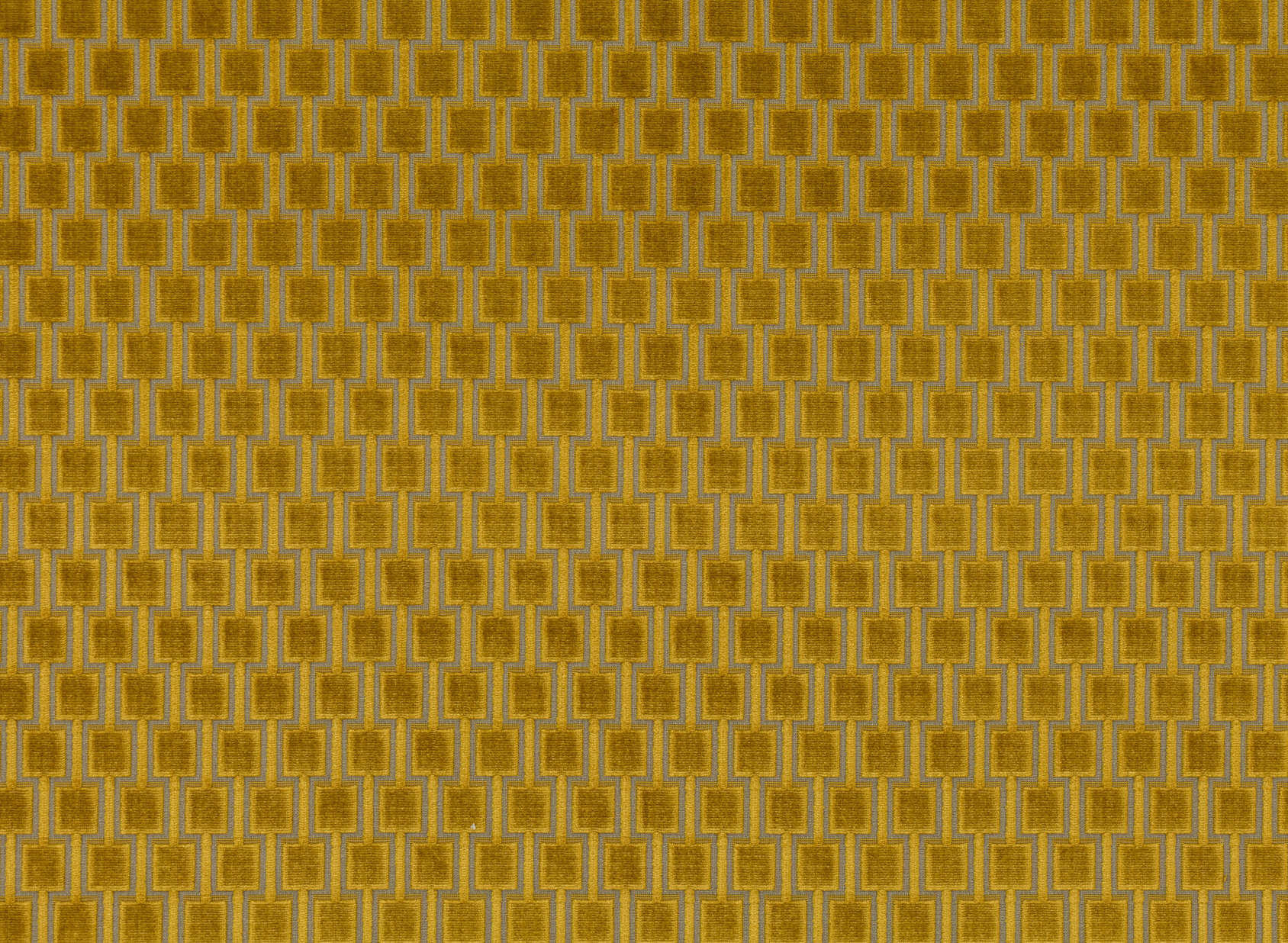 Bakerloo Gold K5096-01