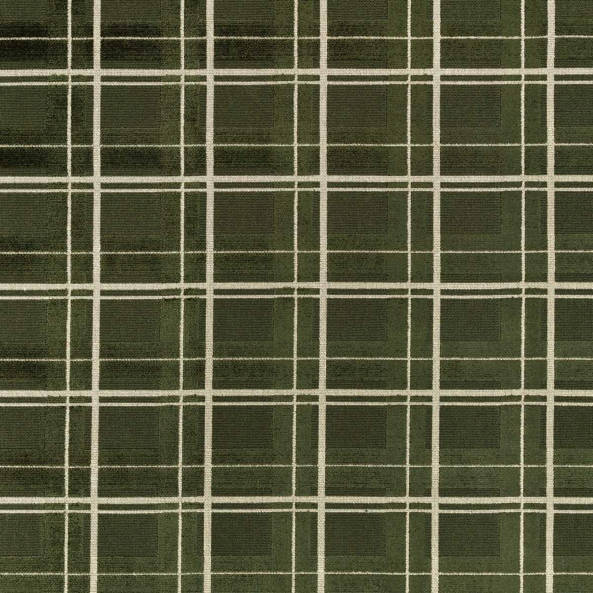 Caledonian Pine Green