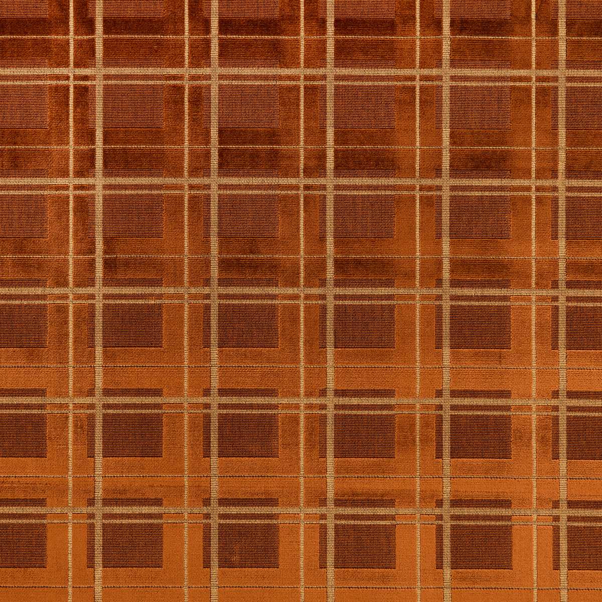 Caledonian Pecan