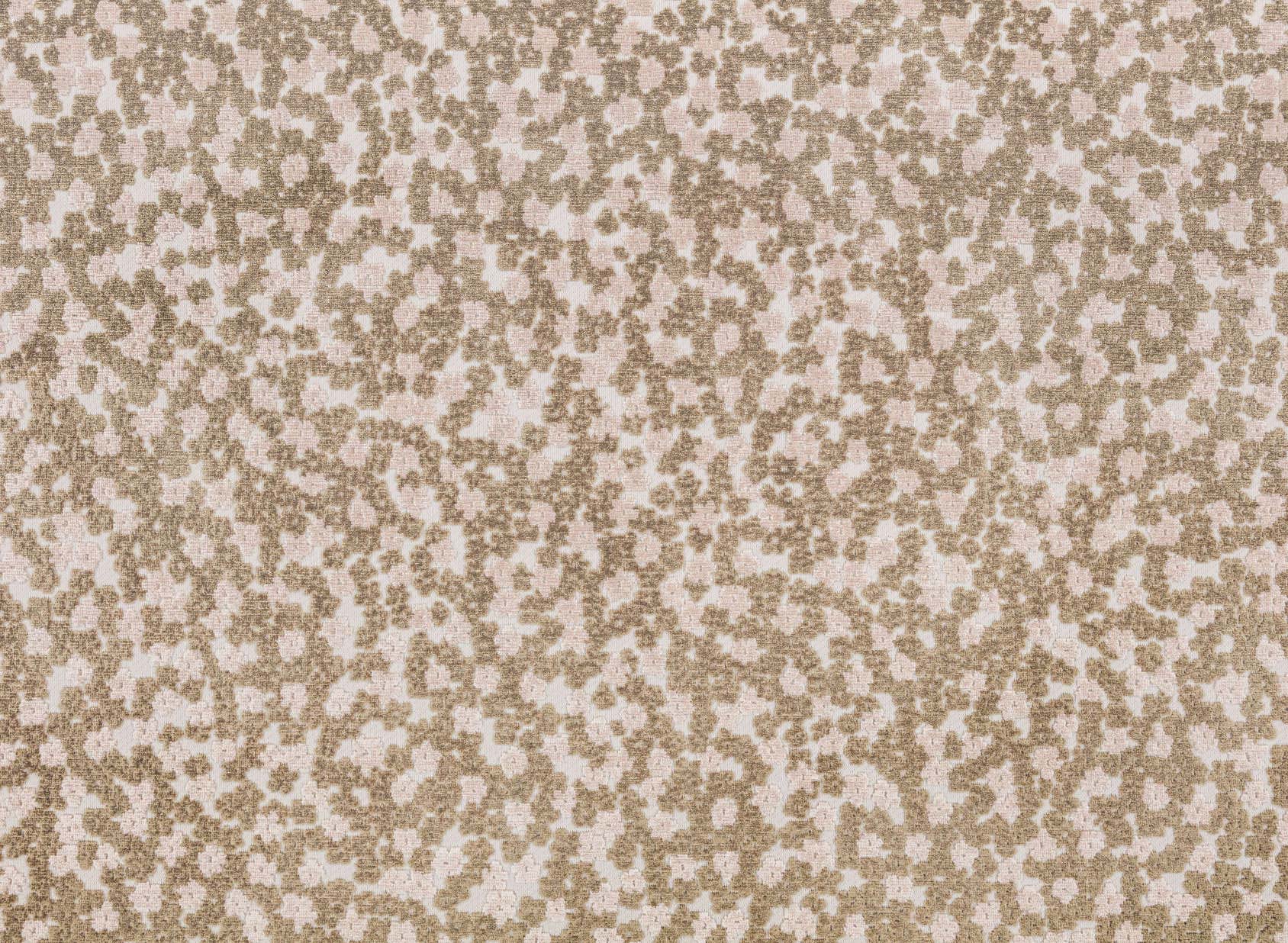 Charm K5273-01