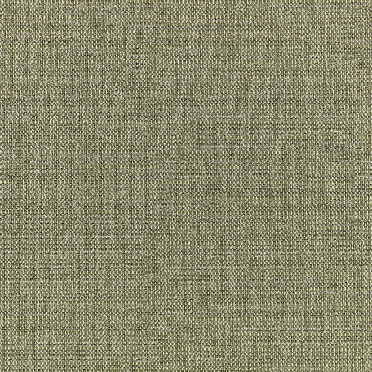 Clubhouse Olive