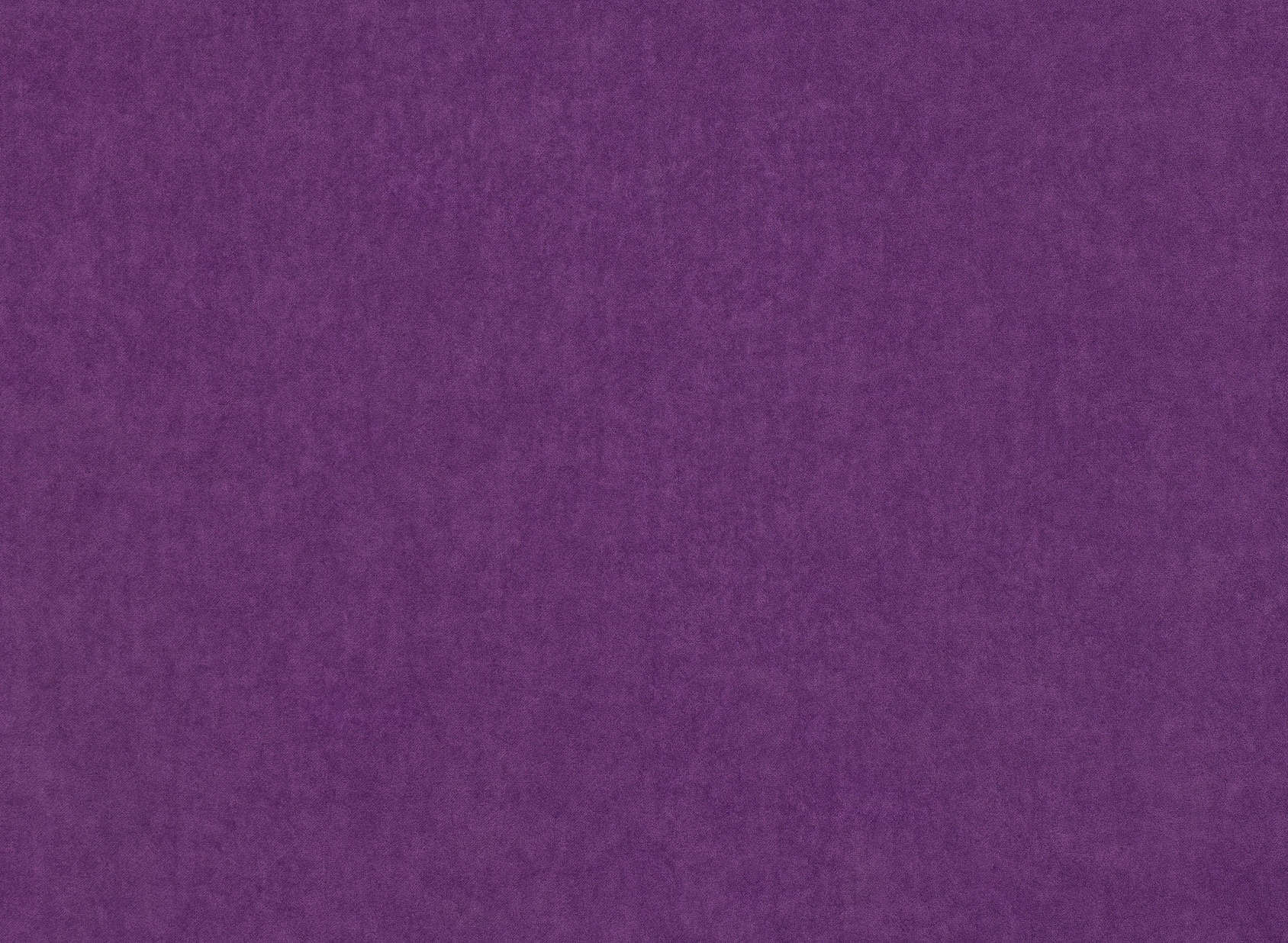 Crush II Violet K5033-112