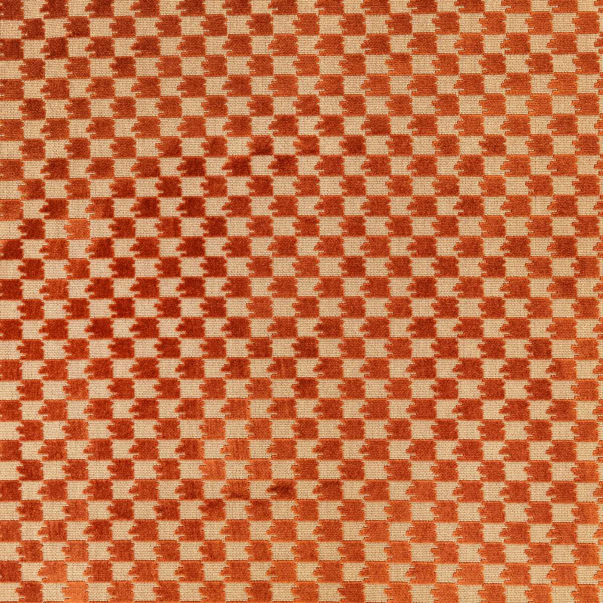 Eden Cinnamon