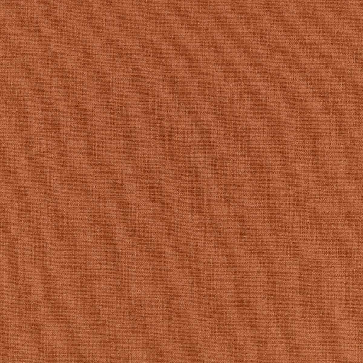 Hackney Cinnamon