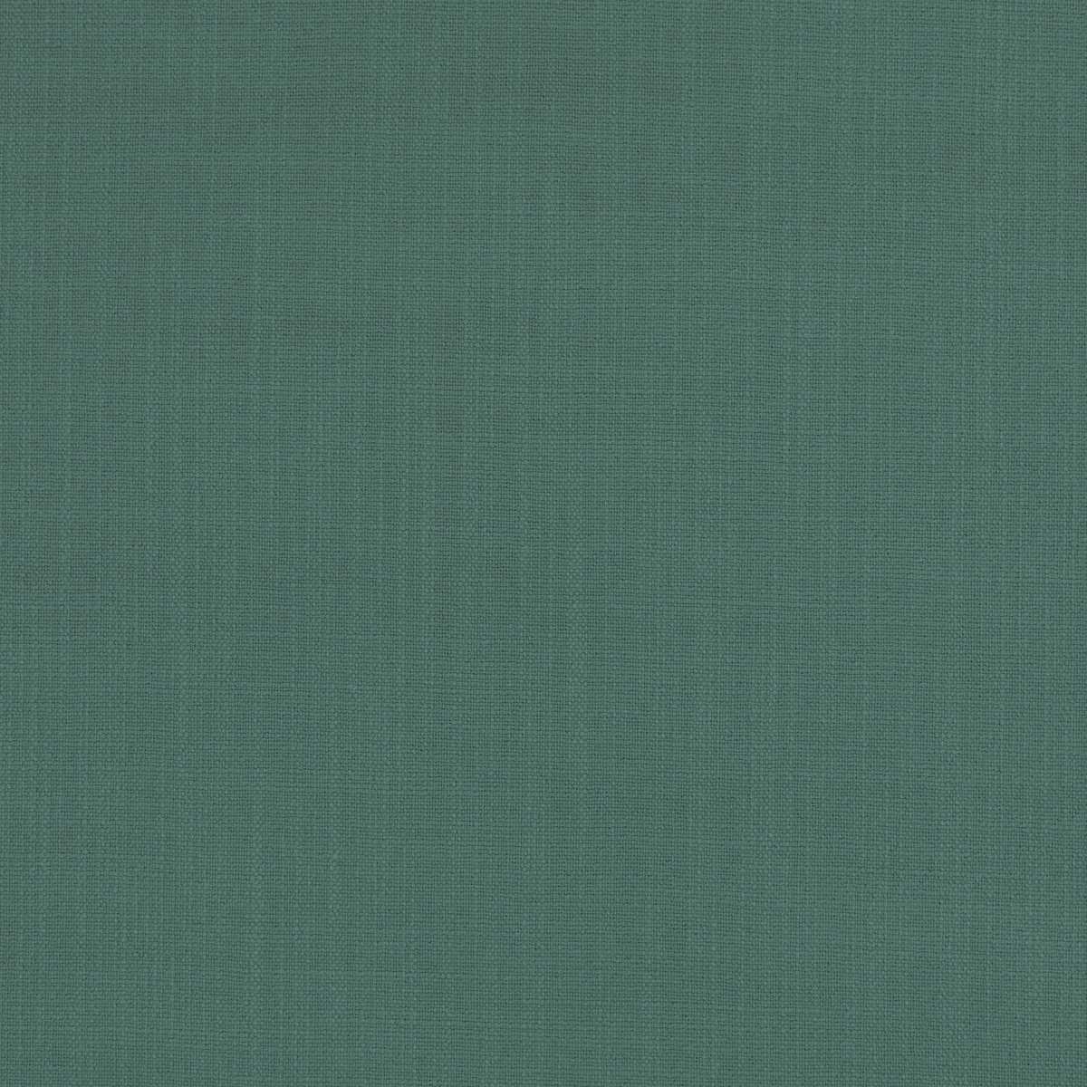 Hackney Mallard