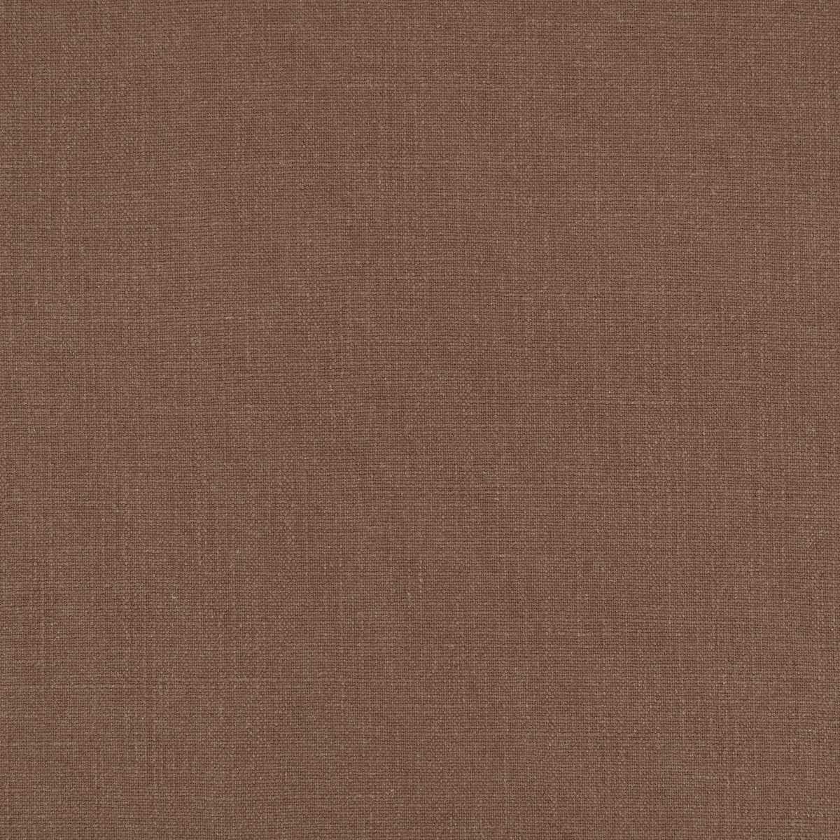 Hackney Chocolate