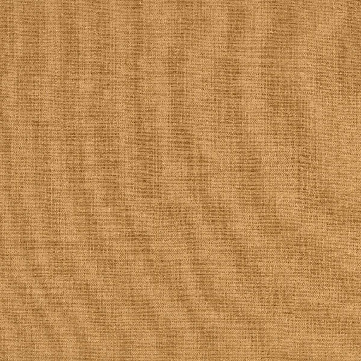 Hackney Golden Ochre
