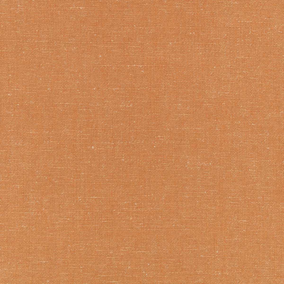Hampstead Tangerine