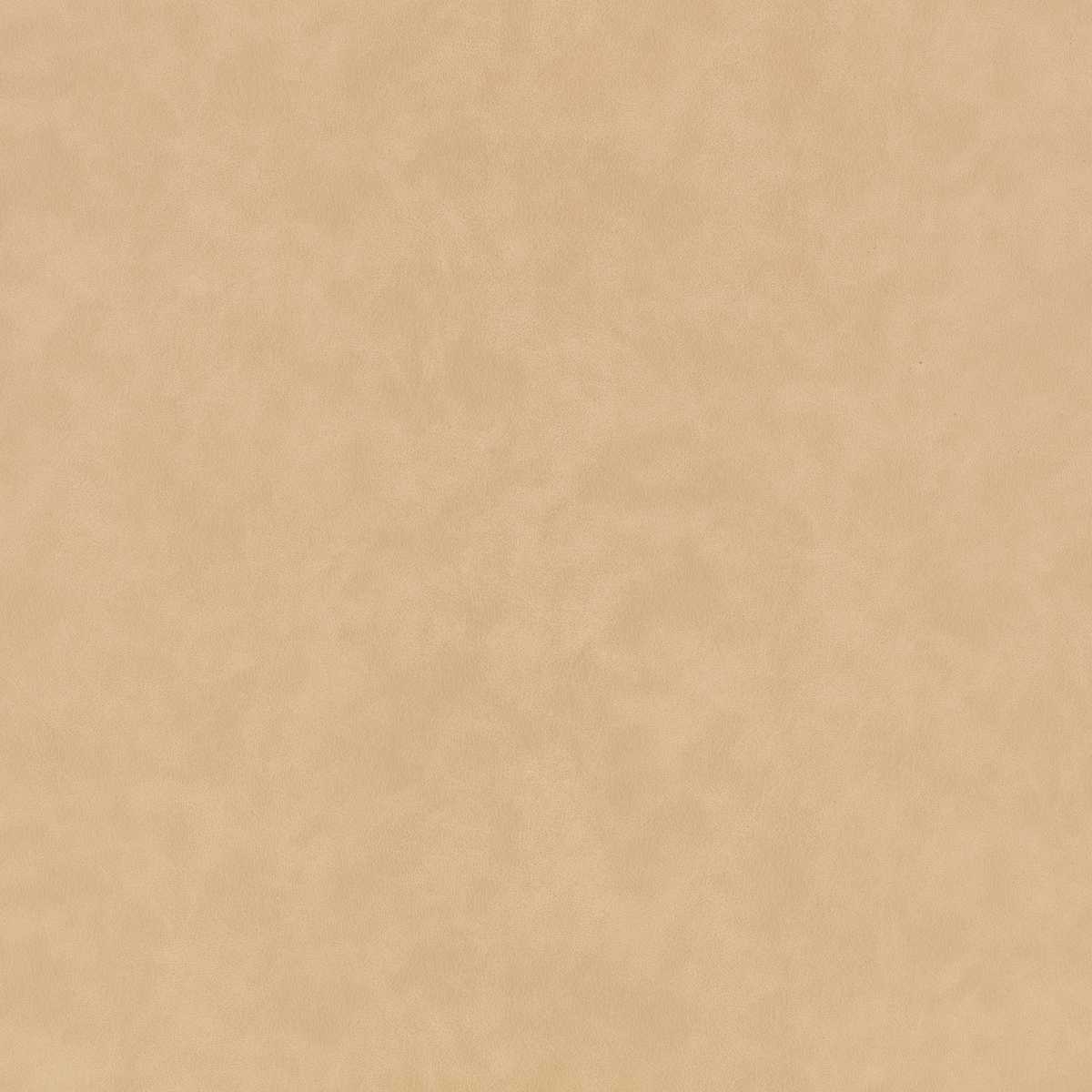 Hide Desert