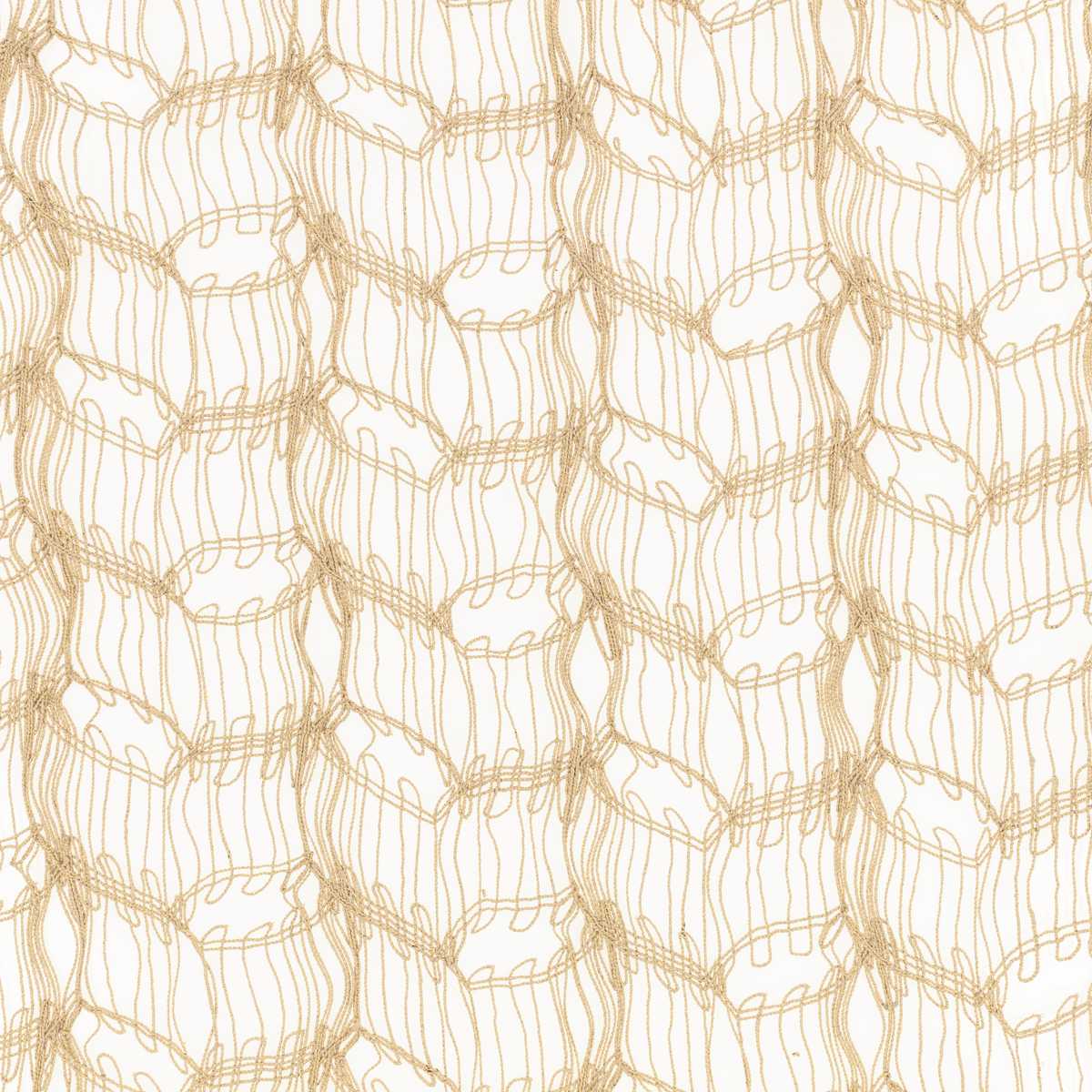 Knot Desert