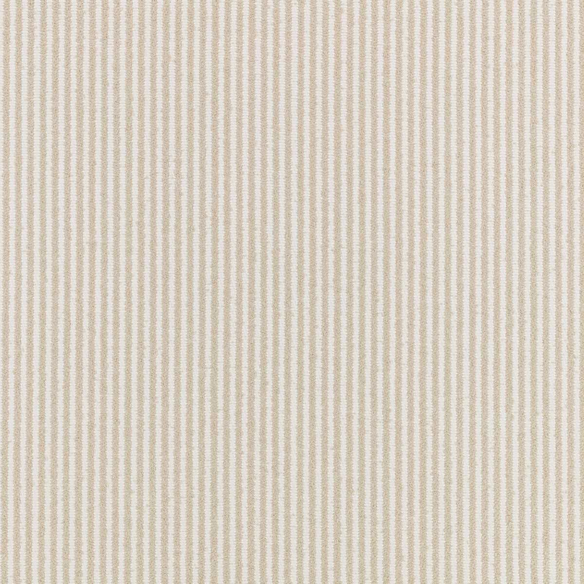 Lawn Flax