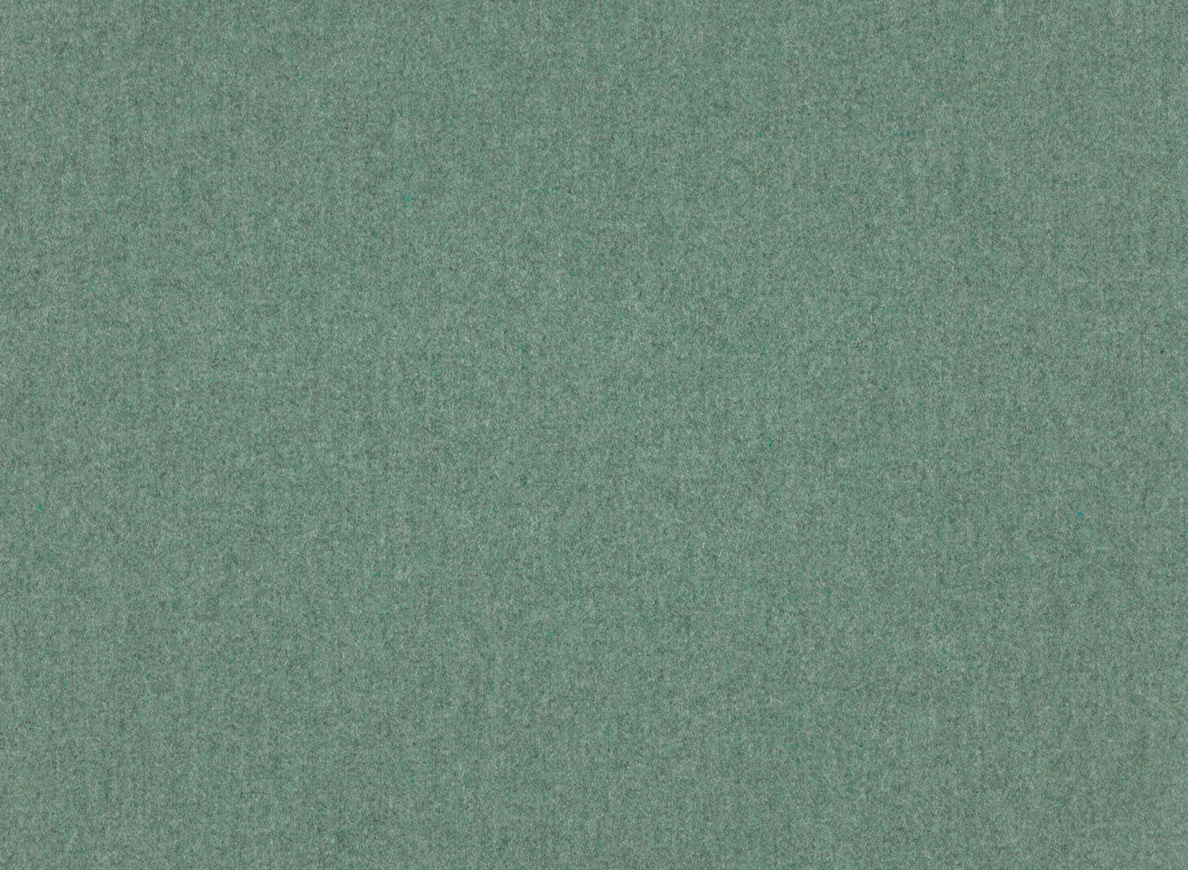 Leaf Nettle K5125-43