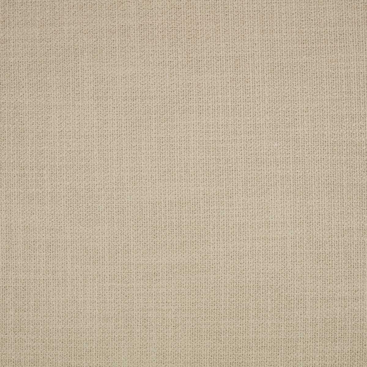 Loop II Oatmeal