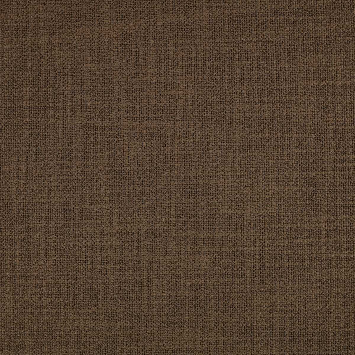 Loop II Bark