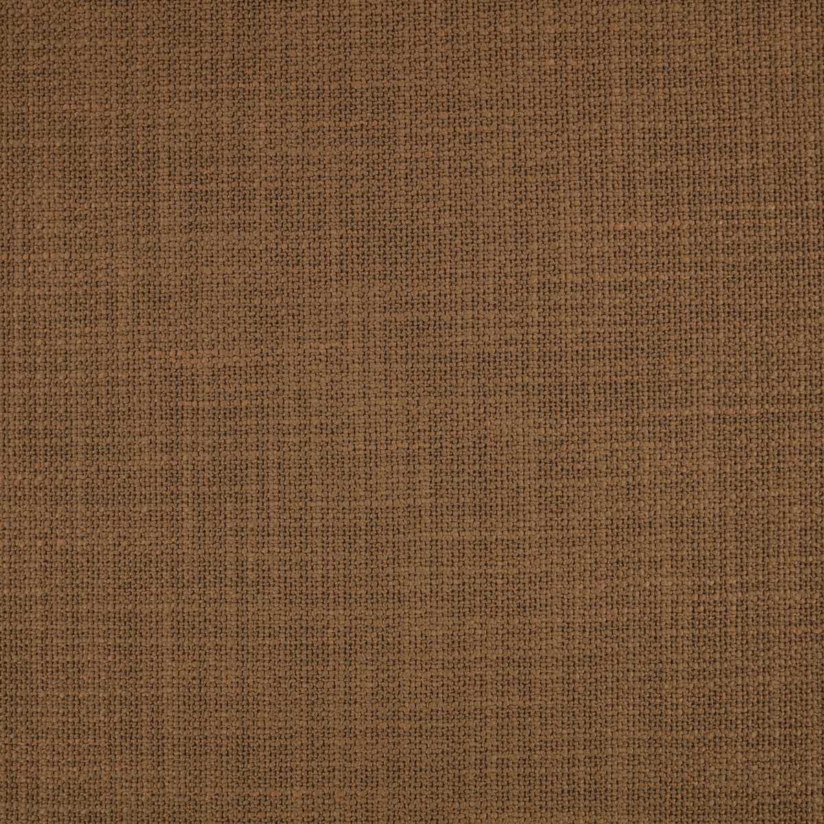 Loop II Caramel