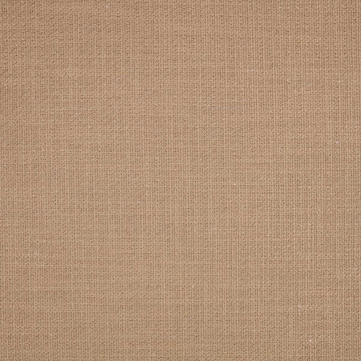 Loop II Powder
