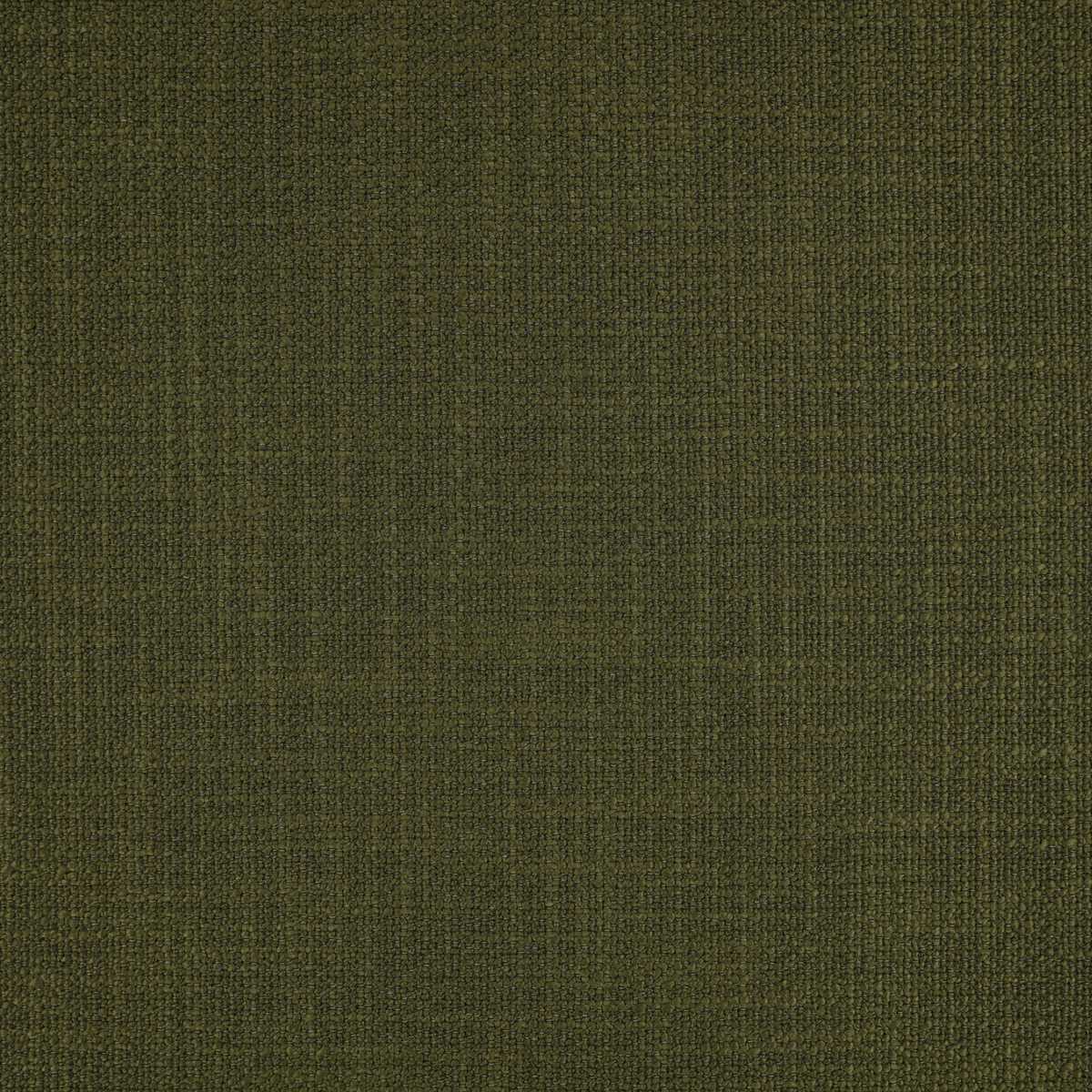 Loop II Pine Green
