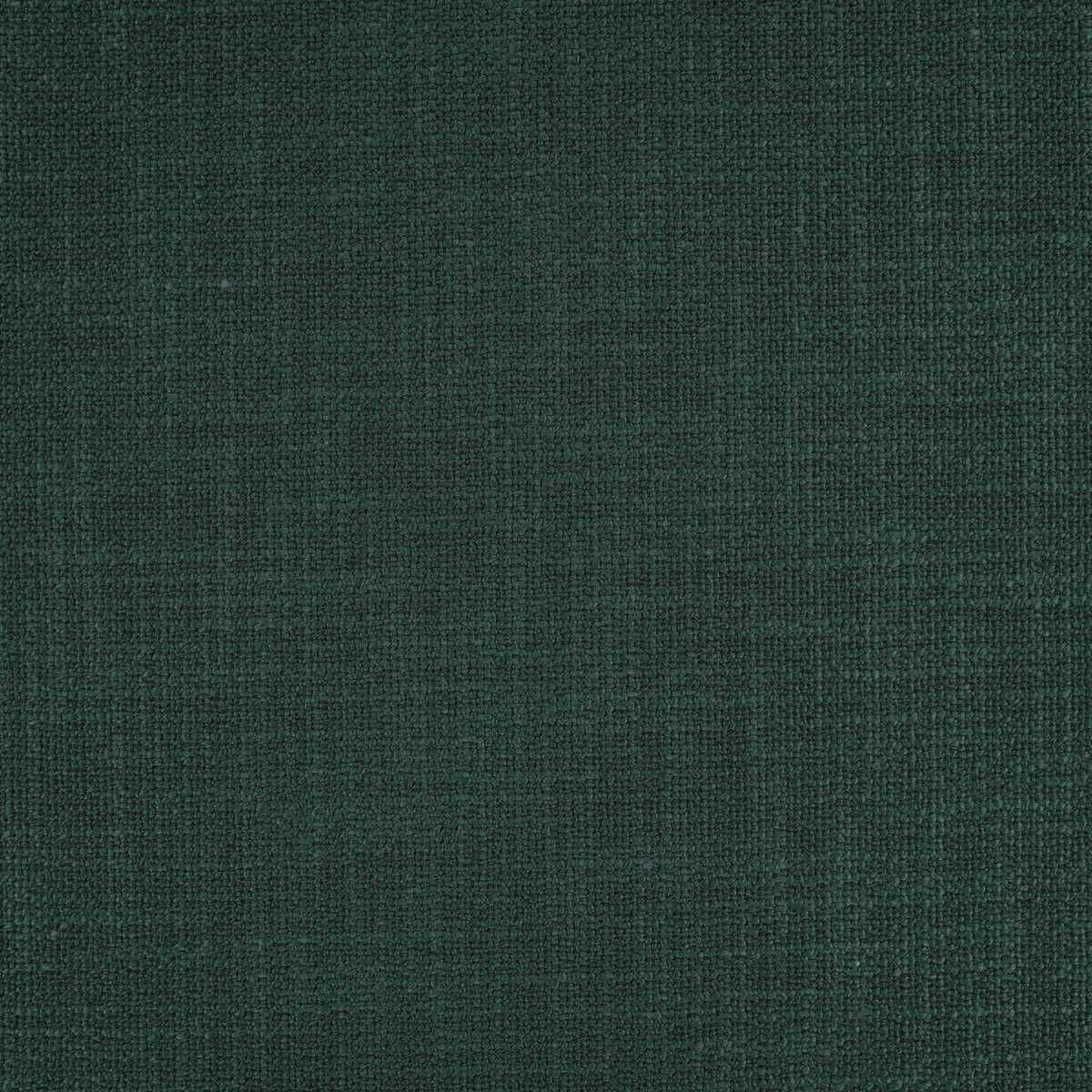 Loop II Nori
