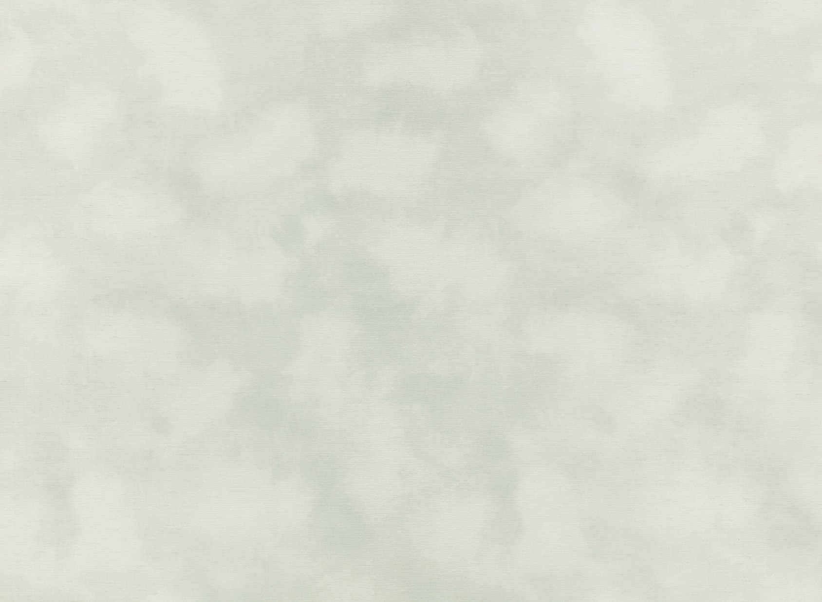 Mist WK818-01
