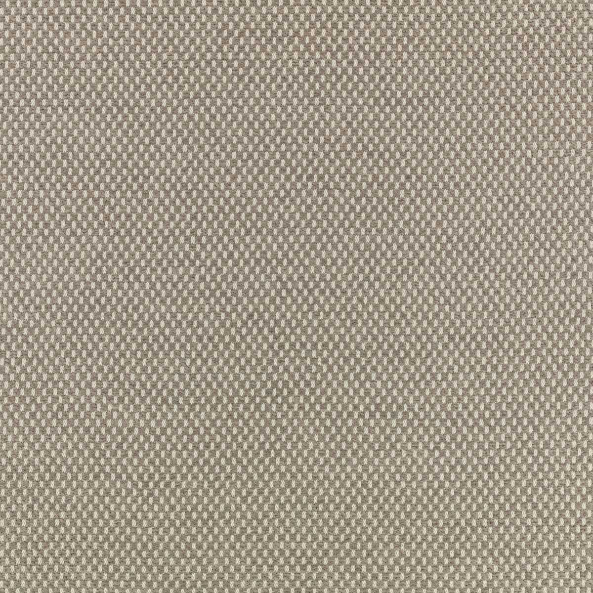 Net Carbon