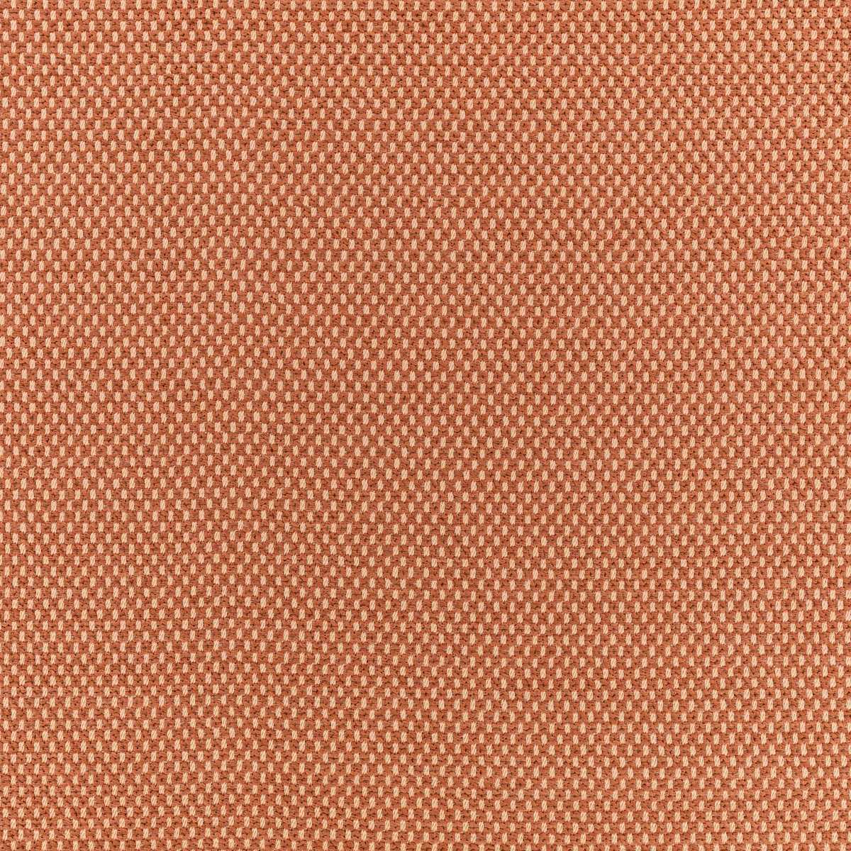 Net Pink Apricot