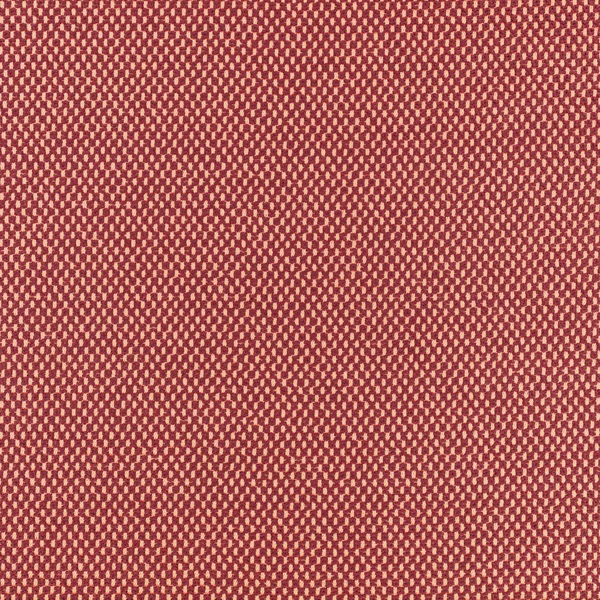 Net Berry