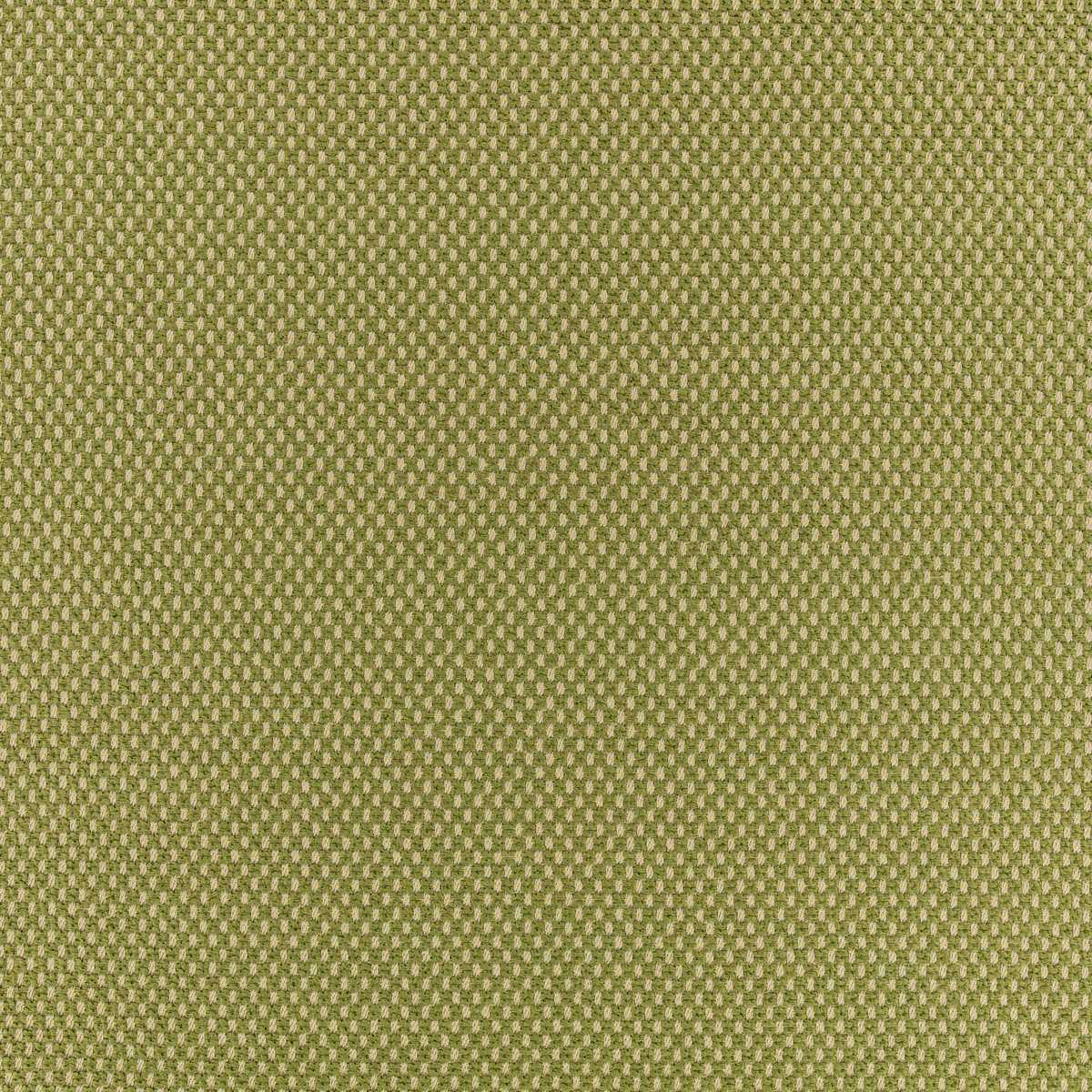 Net Olive