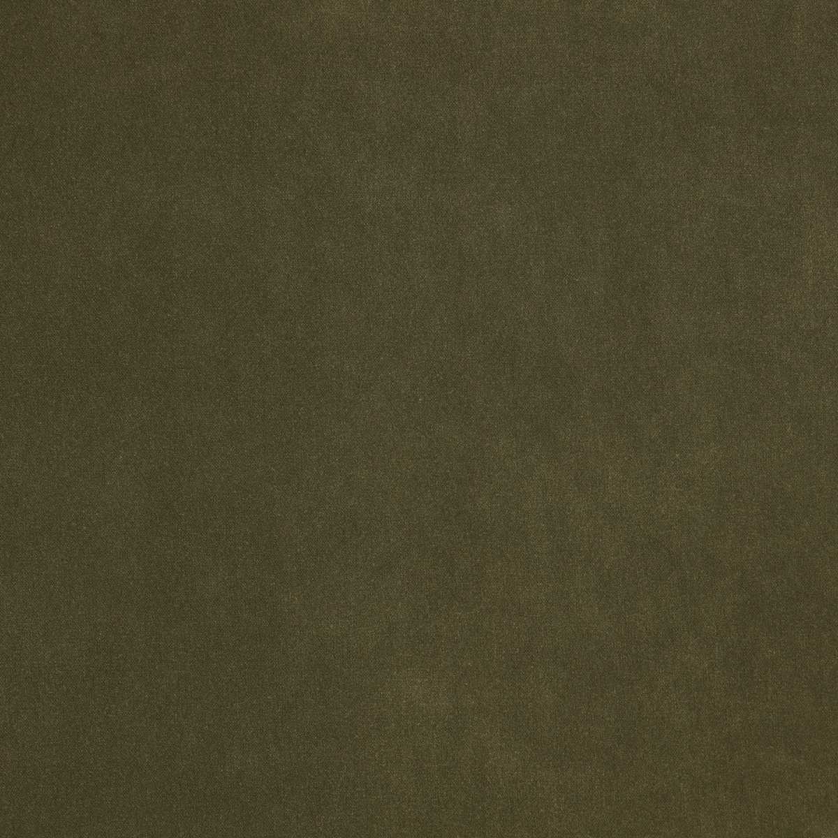 Nova FR Olive
