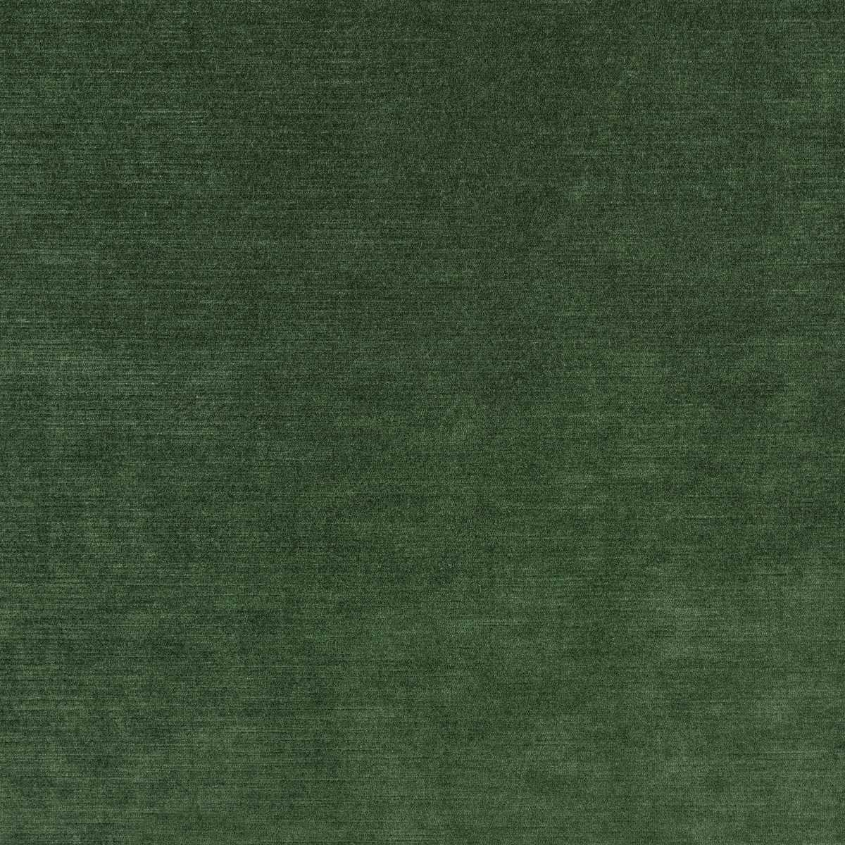 Orion III Forest