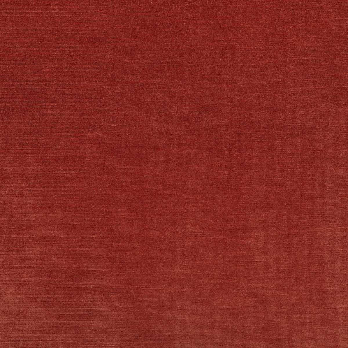 Orion III Paprika