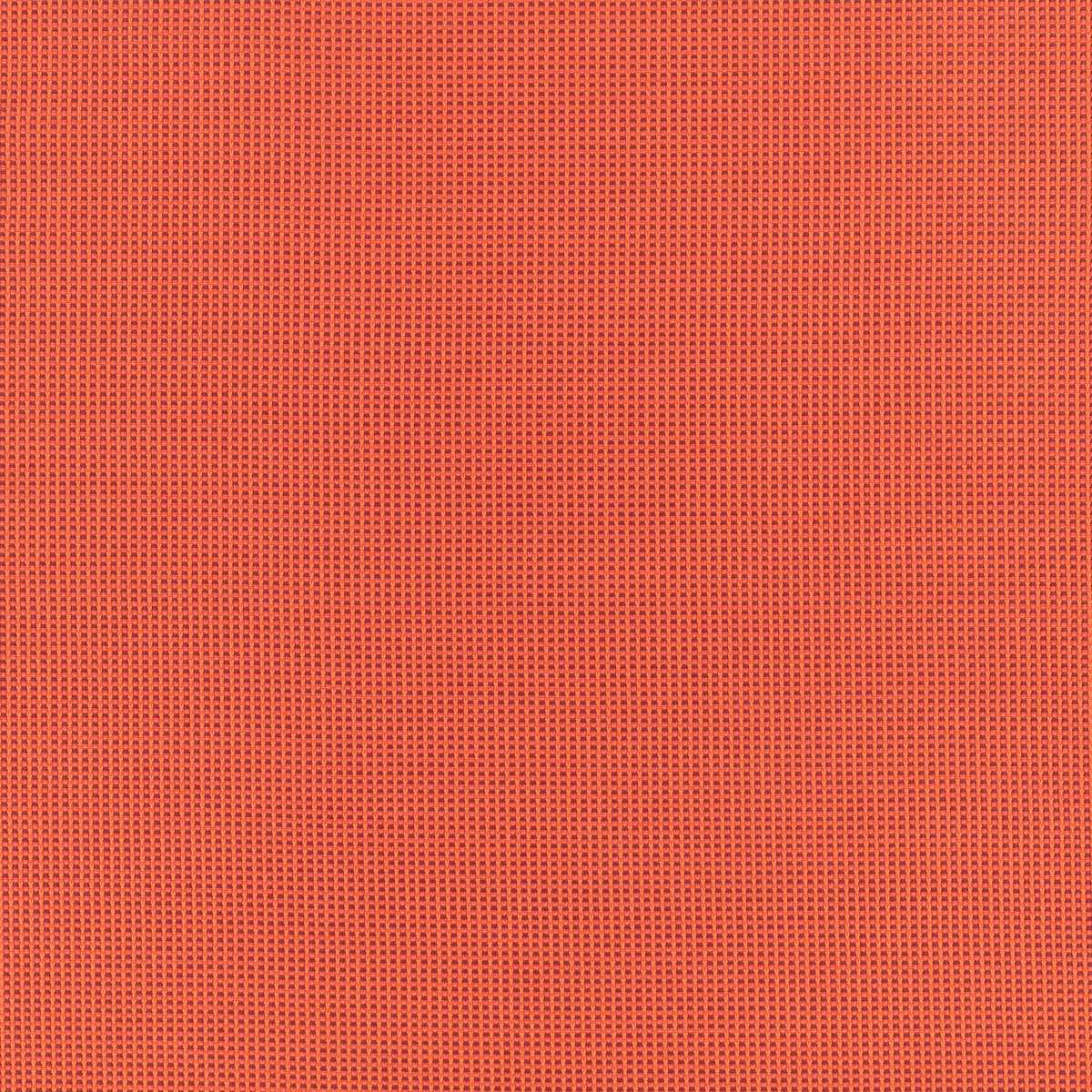 Picnic Blood Orange