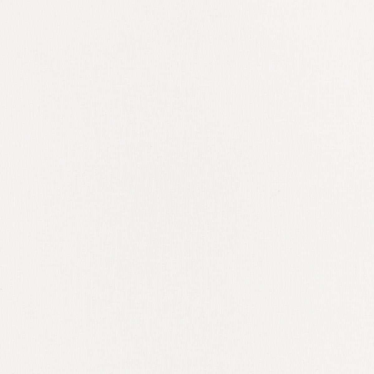 Plane White