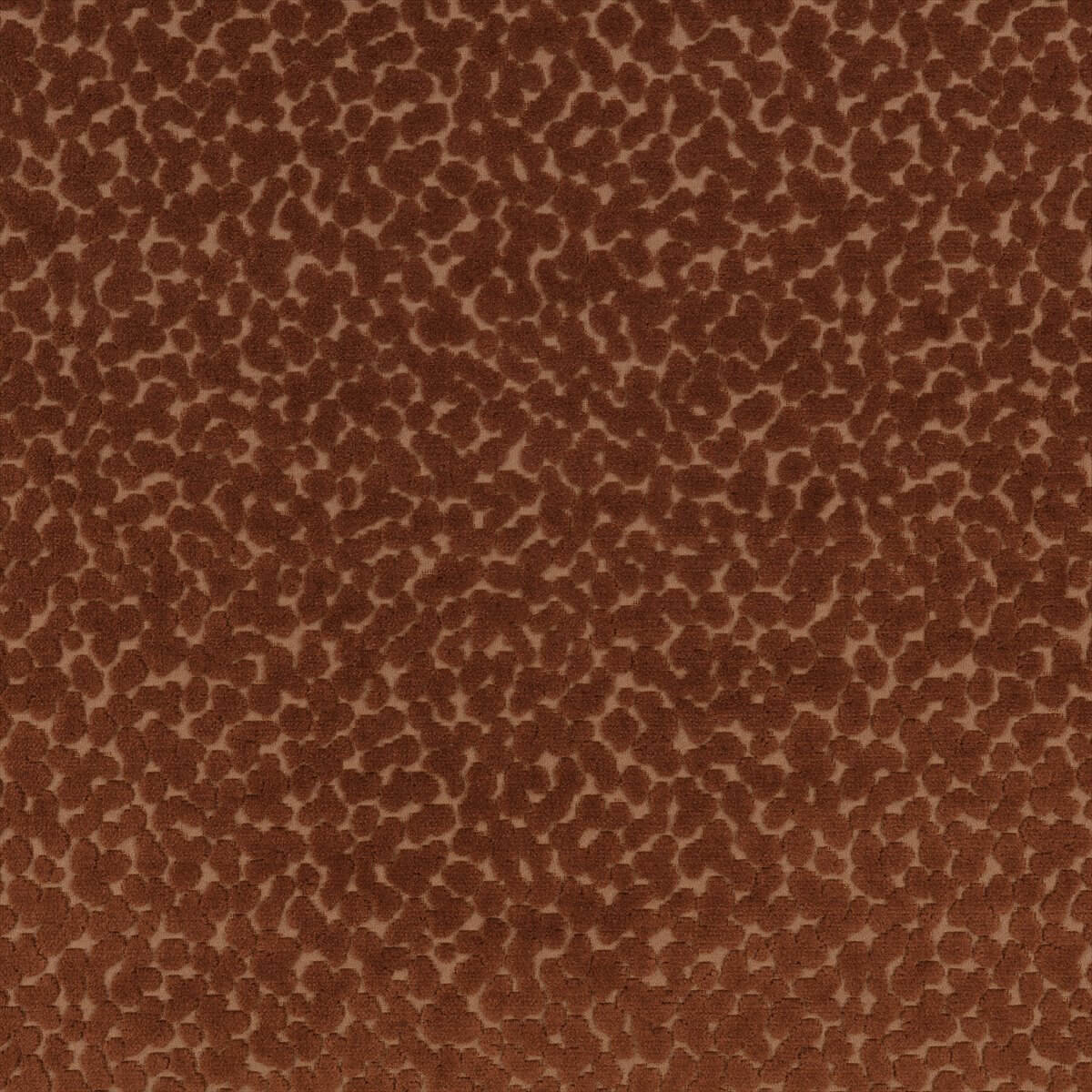 Pop K5328-02