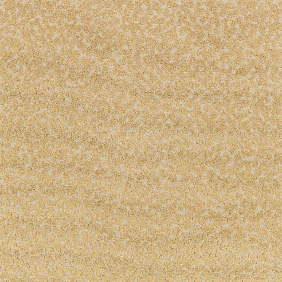 Pop K5328-03
