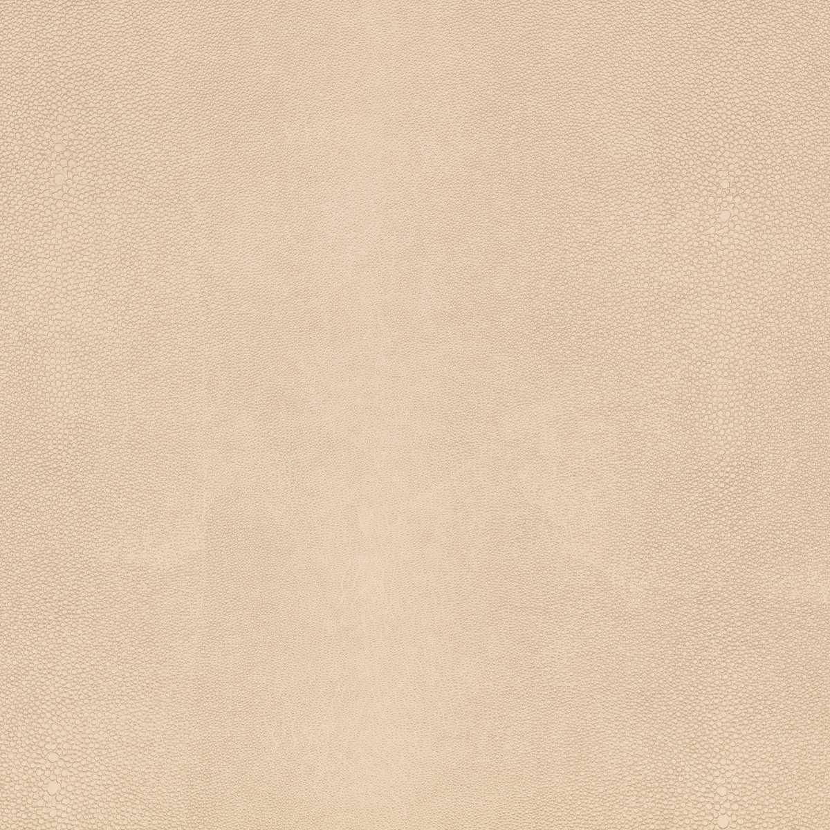 Shagreen Oyster