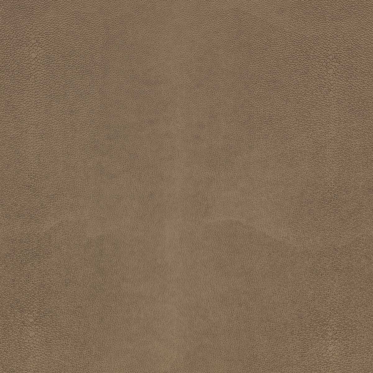 Shagreen Asteroid