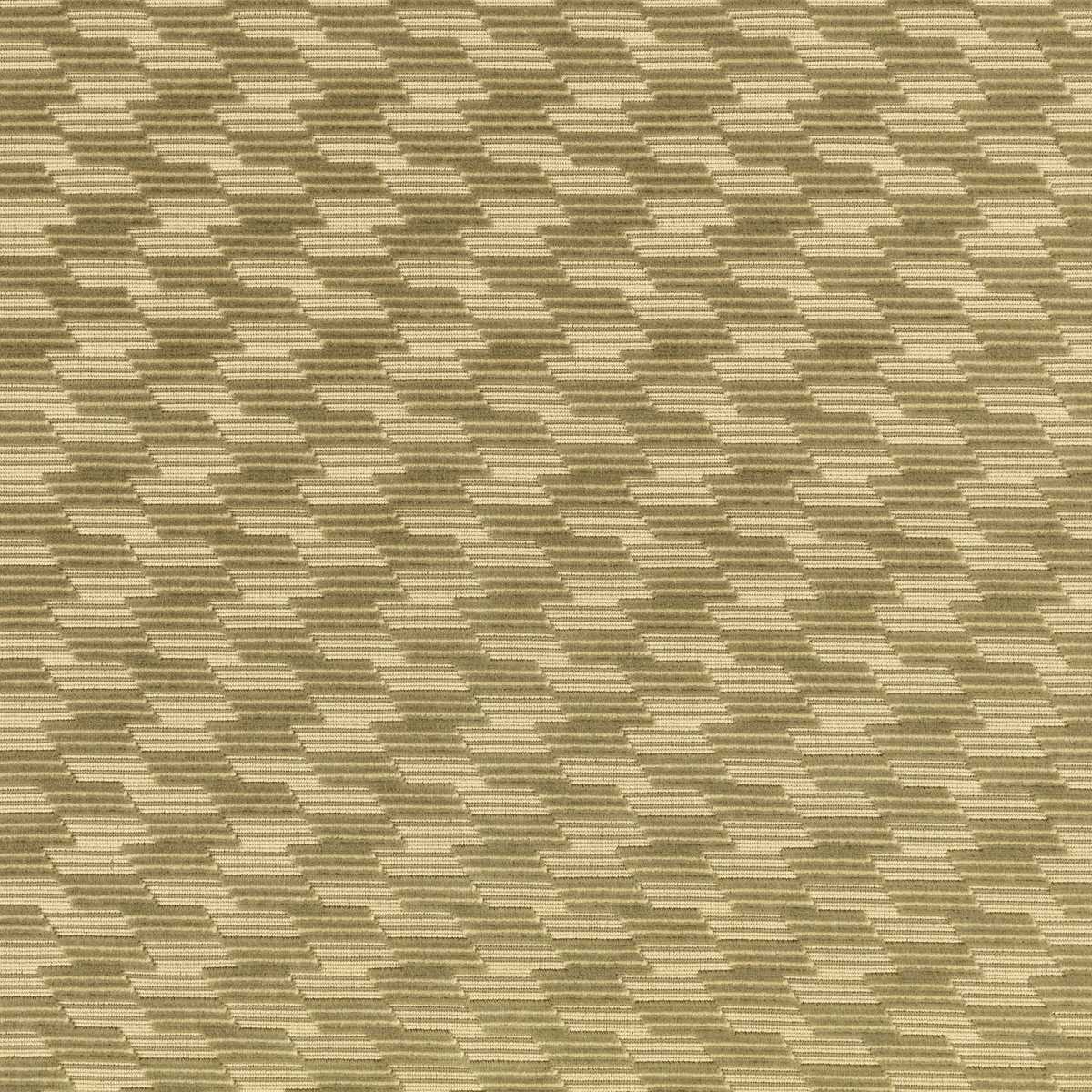 Strings Oregano