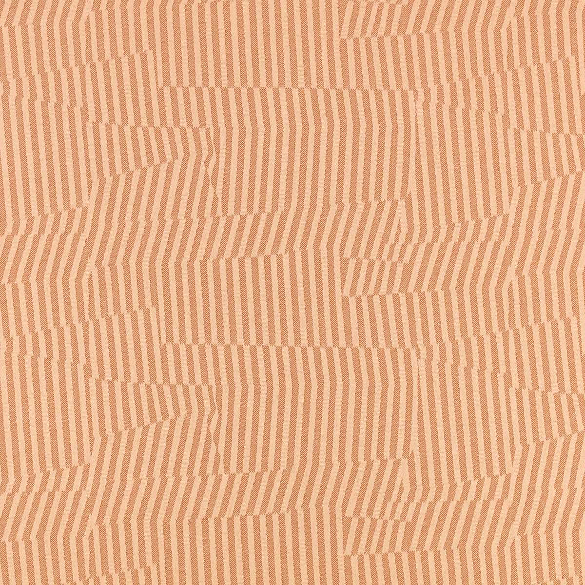 Vector Pink Apricot
