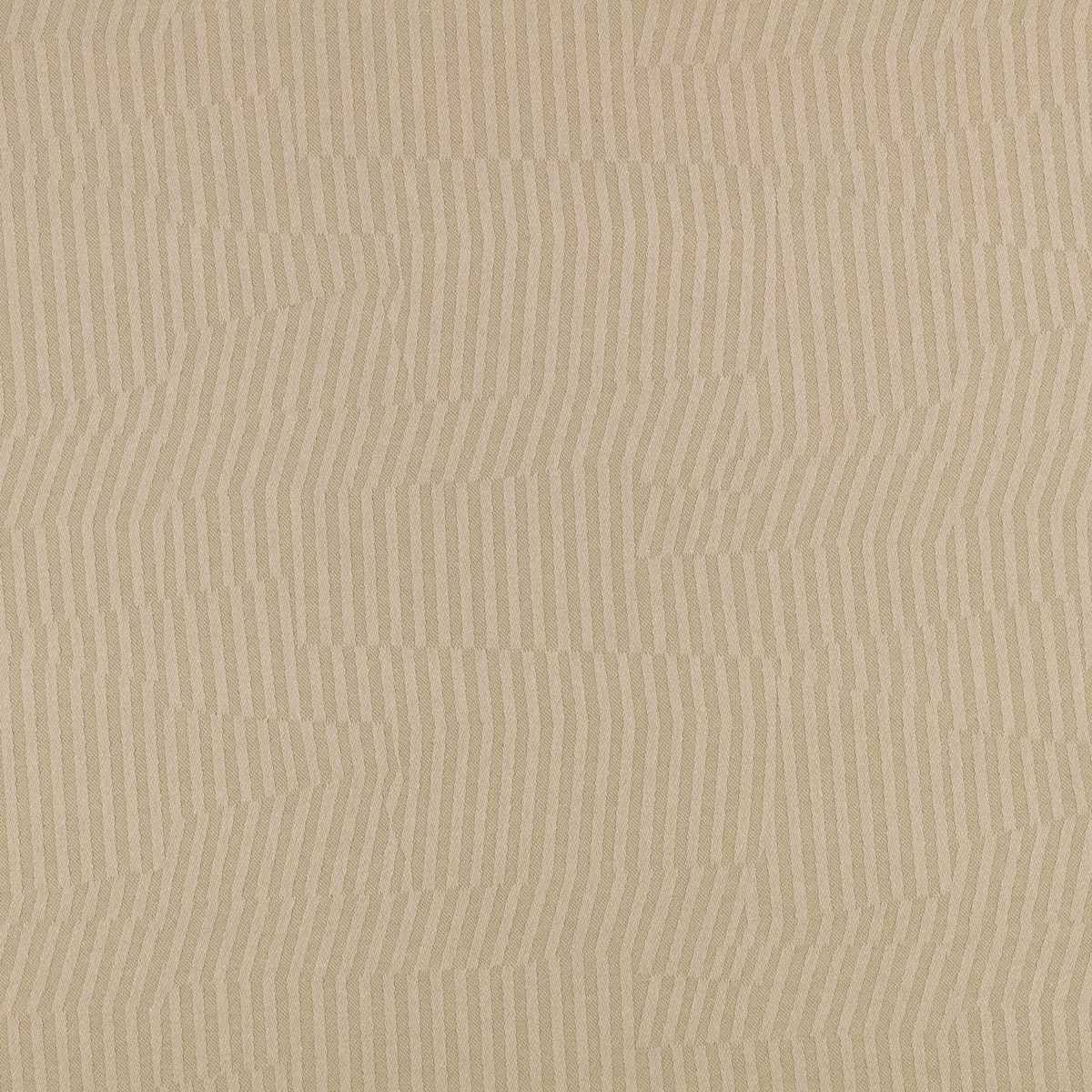 Vector Pistachio
