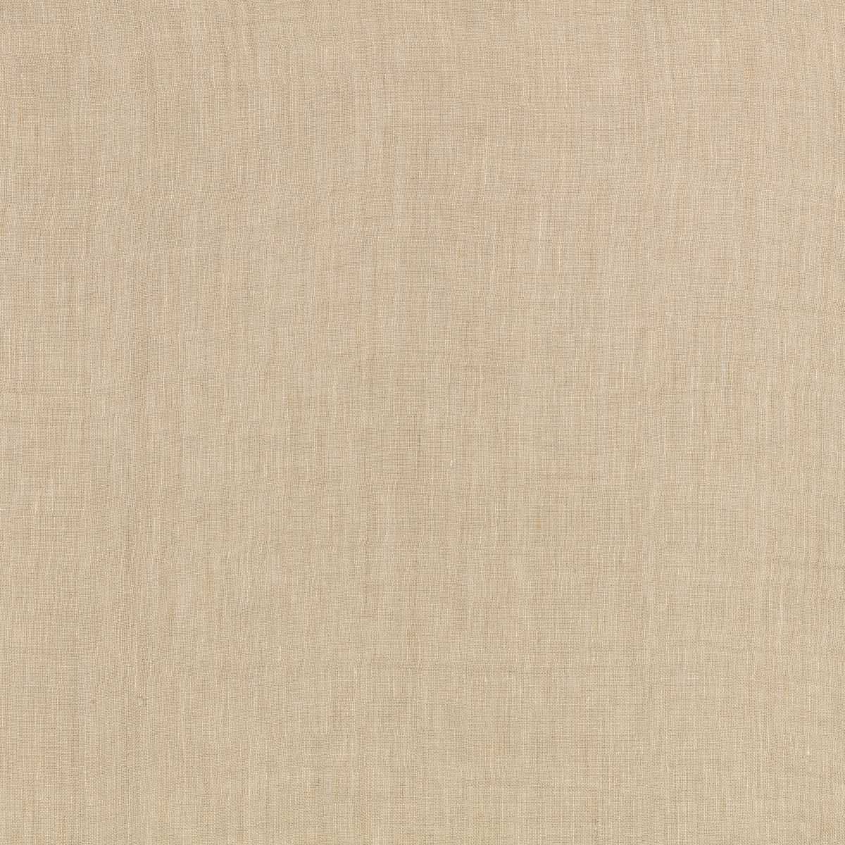 Warp Barley