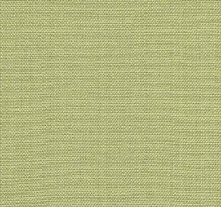 Knightsbridge Birch PF50199-780