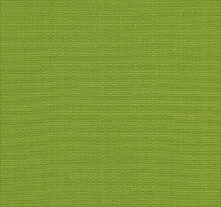 Knightsbridge Lime PF50199-775