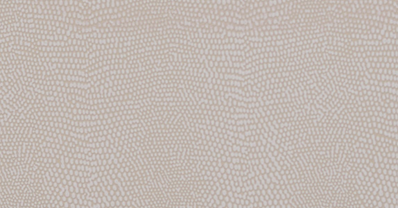 Komodo KOM-003