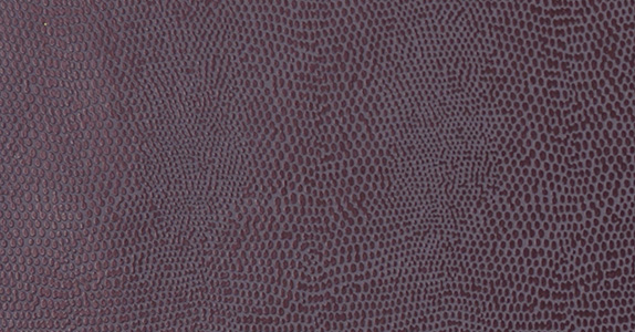 Komodo KOM-007