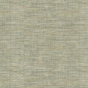 Kravet 30299 1106